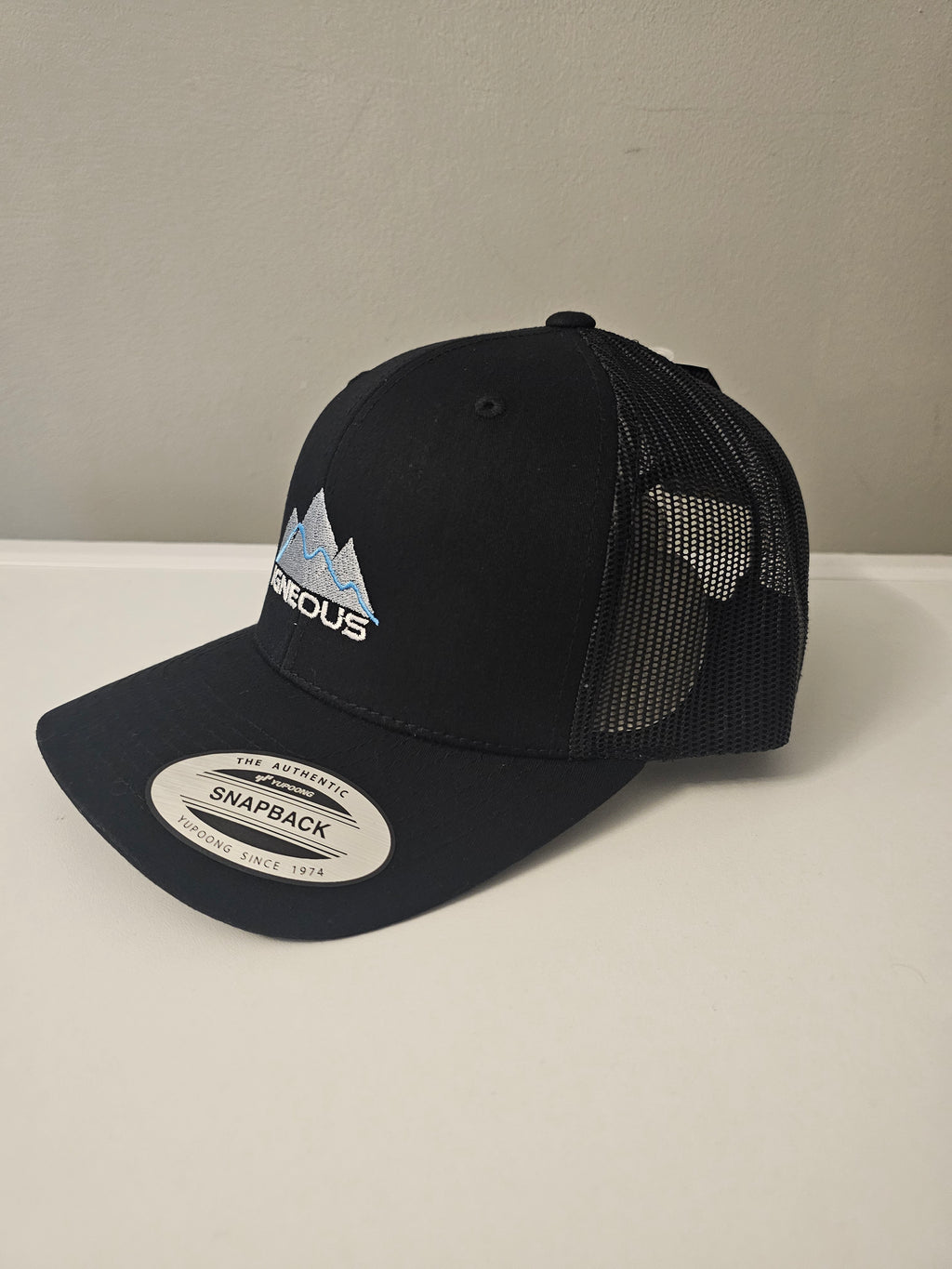 IGNEOUS Mountain Snapback Cap black