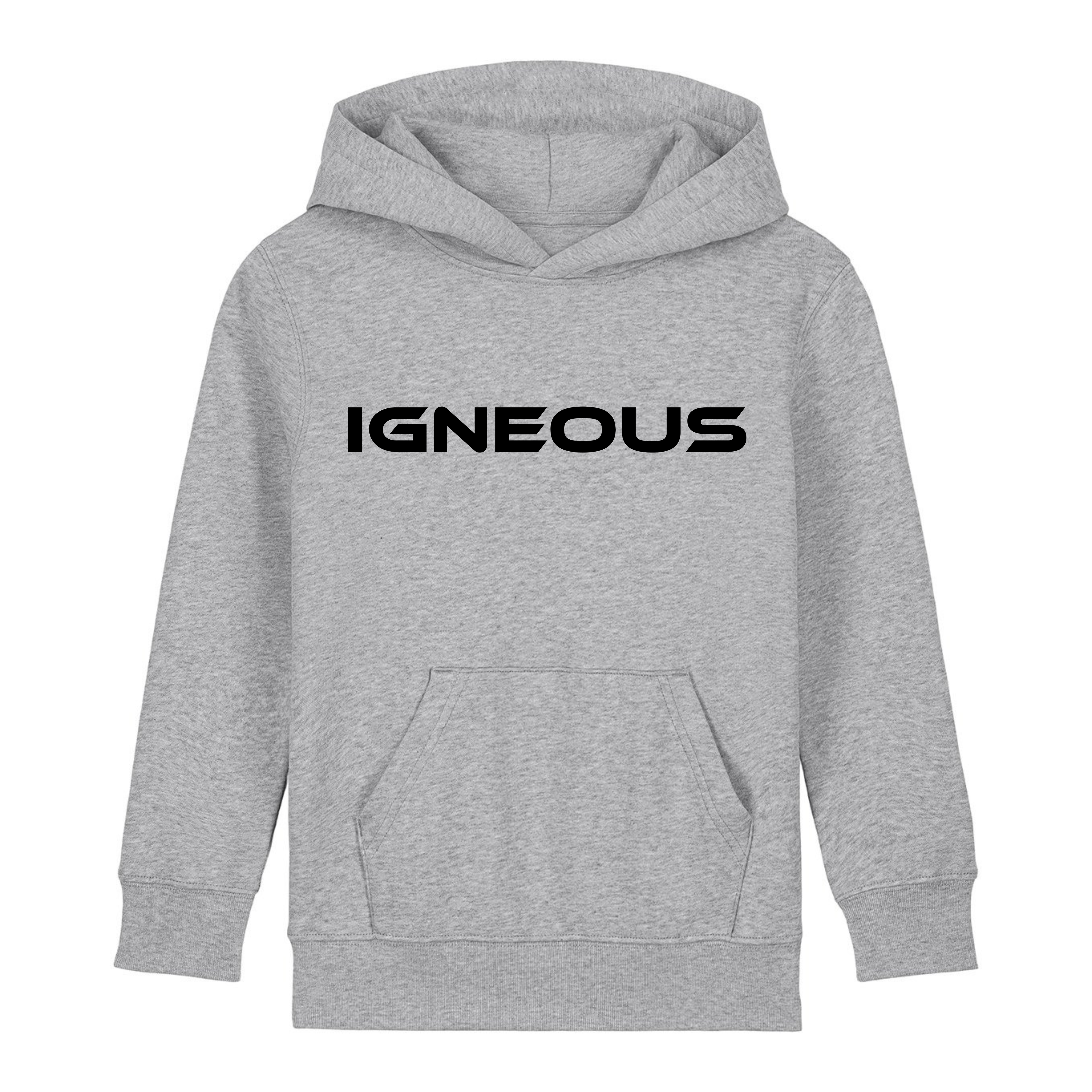 Children IGNEOUS Organic cotton hoodie grey