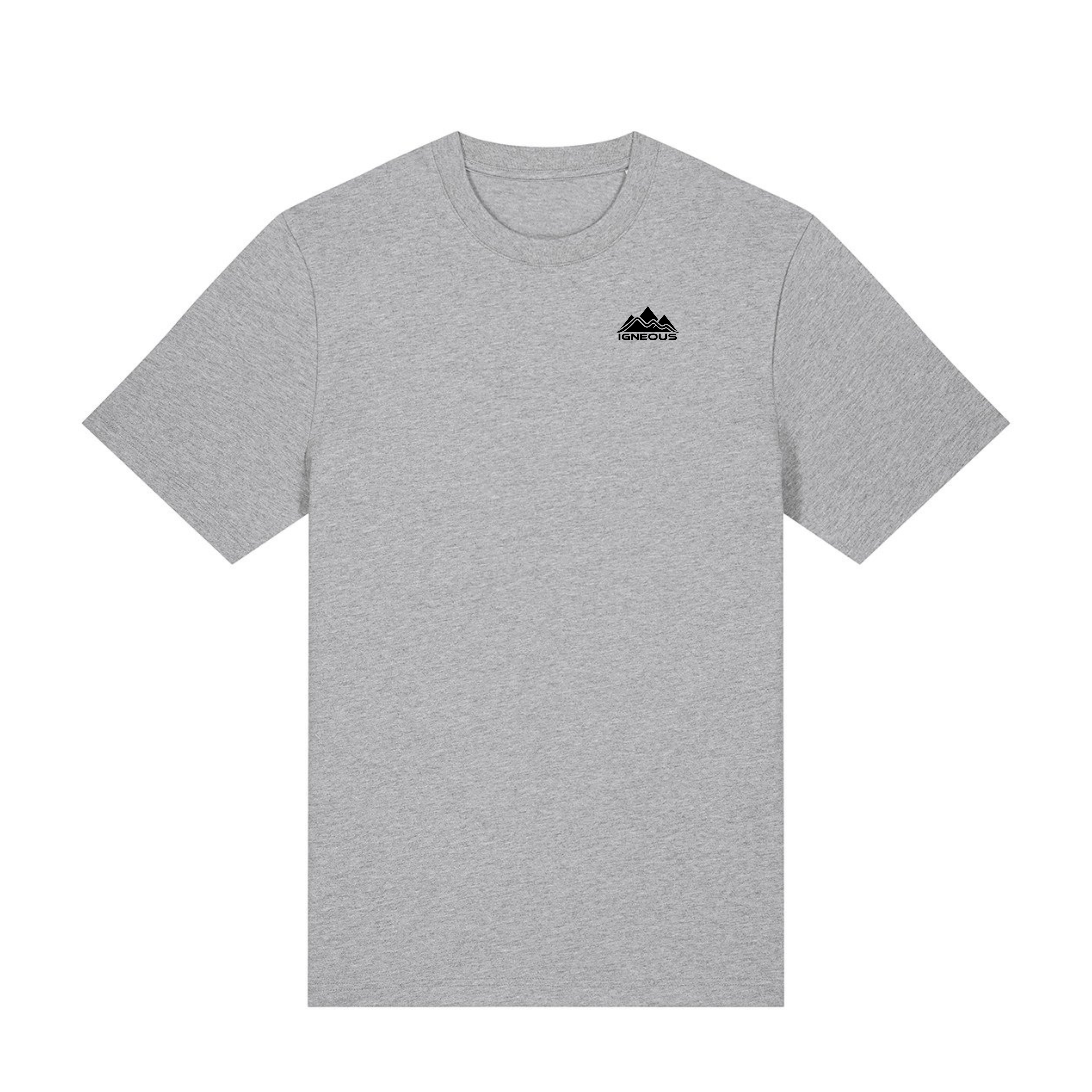 Childrens IGNEOUS  ORGANIC COTTON T-SHIRT grey